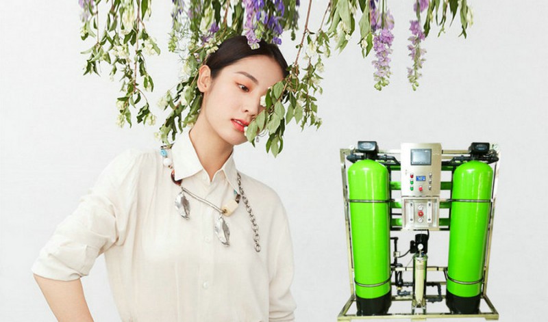 長春豆制品廠專用純凈水設(shè)備