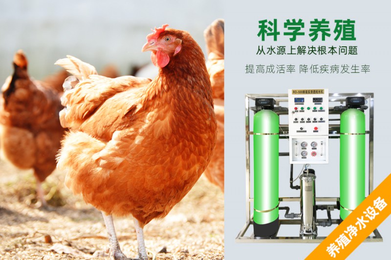 養(yǎng)雞場(chǎng)專用凈水設(shè)備,大型凈水器,純凈水設(shè)備