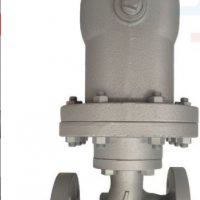 日本宮脅浮球式疏水閥 進口G15N蒸汽疏水閥