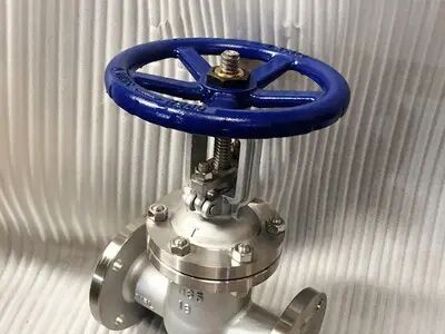 不銹鋼耐酸堿鈦材閘閥 不銹鋼手動(dòng)閘閥